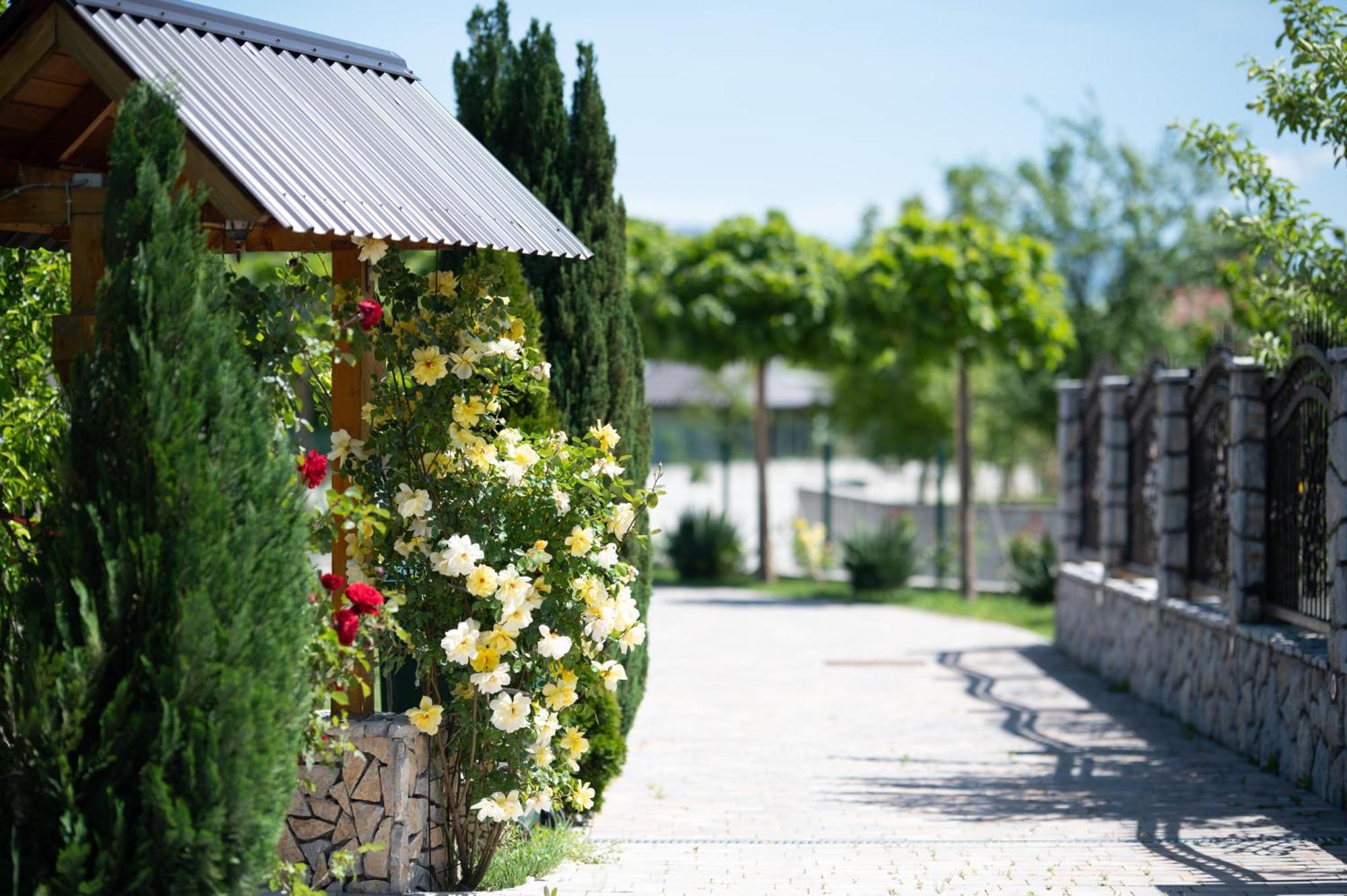 Villa Medina